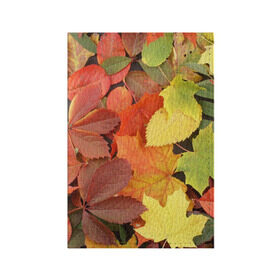 Обложка для паспорта матовая кожа с принтом Осенние листья в Тюмени, натуральная матовая кожа | размер 19,3 х 13,7 см; прозрачные пластиковые крепления | Тематика изображения на принте: жёлтый | красный | листва | оранжевый | осень
