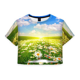 Женская футболка 3D укороченная с принтом Ромашки в Тюмени, 100% полиэстер | круглая горловина, длина футболки до линии талии, рукава с отворотами | поле | природа | ромашка | цветы
