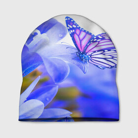 Шапка 3D с принтом Бабочки в Тюмени, 100% полиэстер | универсальный размер, печать по всей поверхности изделия | бабочки | красота | природа | синяя | цветы