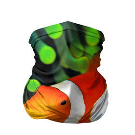 Бандана-труба 3D с принтом Рыба клоун в Тюмени, 100% полиэстер, ткань с особыми свойствами — Activecool | плотность 150‒180 г/м2; хорошо тянется, но сохраняет форму | Тематика изображения на принте: клоун | коралл | немо | океан | цветная