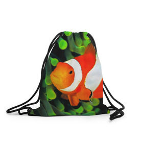 Рюкзак-мешок 3D с принтом Рыба клоун в Тюмени, 100% полиэстер | плотность ткани — 200 г/м2, размер — 35 х 45 см; лямки — толстые шнурки, застежка на шнуровке, без карманов и подкладки | клоун | коралл | немо | океан | цветная