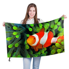 Флаг 3D с принтом Рыба клоун в Тюмени, 100% полиэстер | плотность ткани — 95 г/м2, размер — 67 х 109 см. Принт наносится с одной стороны | клоун | коралл | немо | океан | цветная