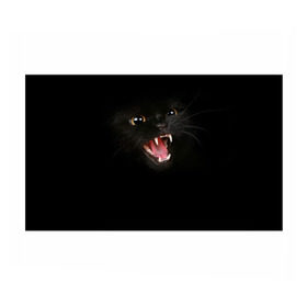 Бумага для упаковки 3D с принтом Чёрный кот в Тюмени, пластик и полированная сталь | круглая форма, металлическое крепление в виде кольца | Тематика изображения на принте: киска | кот | кошка