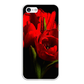 Чехол для iPhone 5/5S матовый с принтом Тюльпаны в Тюмени, Силикон | Область печати: задняя сторона чехла, без боковых панелей | букет | красота | поле | природа | тюльпаны | цветы