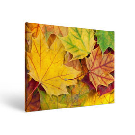 Холст прямоугольный с принтом Осенние листья в Тюмени, 100% ПВХ |  | жёлтый | зелёный | клён | листва