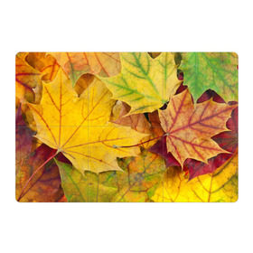 Магнитный плакат 3Х2 с принтом Осенние листья в Тюмени, Полимерный материал с магнитным слоем | 6 деталей размером 9*9 см | жёлтый | зелёный | клён | листва
