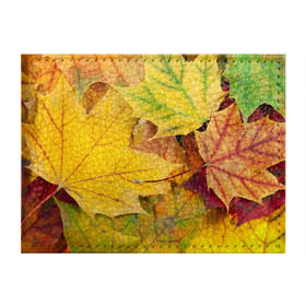 Обложка для студенческого билета с принтом Осенние листья в Тюмени, натуральная кожа | Размер: 11*8 см; Печать на всей внешней стороне | жёлтый | зелёный | клён | листва
