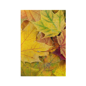 Обложка для паспорта матовая кожа с принтом Осенние листья в Тюмени, натуральная матовая кожа | размер 19,3 х 13,7 см; прозрачные пластиковые крепления | жёлтый | зелёный | клён | листва
