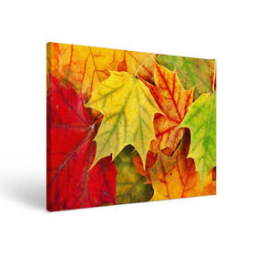Холст прямоугольный с принтом Кленовые листья в Тюмени, 100% ПВХ |  | Тематика изображения на принте: жёлтый | зелёный | красный | листва | оранжевый | осень