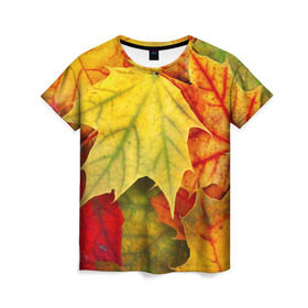 Женская футболка 3D с принтом Кленовые листья в Тюмени, 100% полиэфир ( синтетическое хлопкоподобное полотно) | прямой крой, круглый вырез горловины, длина до линии бедер | жёлтый | зелёный | красный | листва | оранжевый | осень