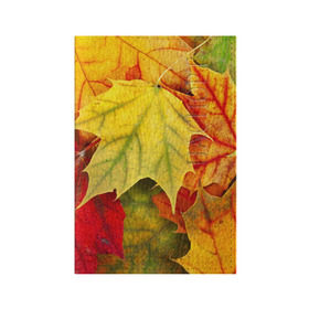 Обложка для паспорта матовая кожа с принтом Кленовые листья в Тюмени, натуральная матовая кожа | размер 19,3 х 13,7 см; прозрачные пластиковые крепления | Тематика изображения на принте: жёлтый | зелёный | красный | листва | оранжевый | осень