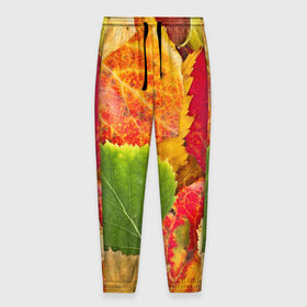 Мужские брюки 3D с принтом Осень в Тюмени, 100% полиэстер | манжеты по низу, эластичный пояс регулируется шнурком, по бокам два кармана без застежек, внутренняя часть кармана из мелкой сетки | берёза | дары осени | жёлтый | зелёный | золотой | краски | красный | красота | листва | листья | наряд | оранжевый | осень | осина | покров | природа