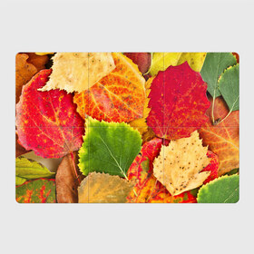 Магнитный плакат 3Х2 с принтом Осень в Тюмени, Полимерный материал с магнитным слоем | 6 деталей размером 9*9 см | берёза | дары осени | жёлтый | зелёный | золотой | краски | красный | красота | листва | листья | наряд | оранжевый | осень | осина | покров | природа