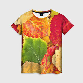 Женская футболка 3D с принтом Осень в Тюмени, 100% полиэфир ( синтетическое хлопкоподобное полотно) | прямой крой, круглый вырез горловины, длина до линии бедер | берёза | дары осени | жёлтый | зелёный | золотой | краски | красный | красота | листва | листья | наряд | оранжевый | осень | осина | покров | природа