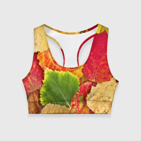 Женский спортивный топ 3D с принтом Осень в Тюмени, 82% полиэстер, 18% спандекс Ткань безопасна для здоровья, позволяет коже дышать, не мнется и не растягивается |  | берёза | дары осени | жёлтый | зелёный | золотой | краски | красный | красота | листва | листья | наряд | оранжевый | осень | осина | покров | природа