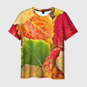 Мужская футболка 3D с принтом Осень в Тюмени, 100% полиэфир | прямой крой, круглый вырез горловины, длина до линии бедер | берёза | дары осени | жёлтый | зелёный | золотой | краски | красный | красота | листва | листья | наряд | оранжевый | осень | осина | покров | природа