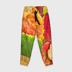 Детские брюки 3D с принтом Осень в Тюмени, 100% полиэстер | манжеты по низу, эластичный пояс регулируется шнурком, по бокам два кармана без застежек, внутренняя часть кармана из мелкой сетки | Тематика изображения на принте: берёза | дары осени | жёлтый | зелёный | золотой | краски | красный | красота | листва | листья | наряд | оранжевый | осень | осина | покров | природа