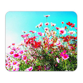Коврик прямоугольный с принтом Поле цветов в Тюмени, натуральный каучук | размер 230 х 185 мм; запечатка лицевой стороны | Тематика изображения на принте: луг | пейзаж | розовый