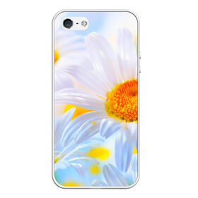Чехол для iPhone 5/5S матовый с принтом Ромашки в Тюмени, Силикон | Область печати: задняя сторона чехла, без боковых панелей | красота | поле | природа | ромашка | цветы