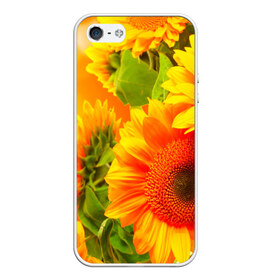 Чехол для iPhone 5/5S матовый с принтом Подсолнух в Тюмени, Силикон | Область печати: задняя сторона чехла, без боковых панелей | желтая | подсолнух | поле | природа | цветы
