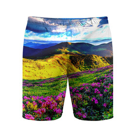 Мужские шорты 3D спортивные с принтом Горная тропа в Тюмени,  |  | Тематика изображения на принте: горы | пейзаж | яркий