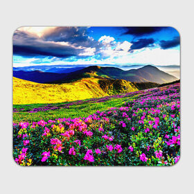 Коврик прямоугольный с принтом Горная тропа в Тюмени, натуральный каучук | размер 230 х 185 мм; запечатка лицевой стороны | горы | пейзаж | яркий