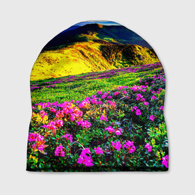 Шапка 3D с принтом Горная тропа в Тюмени, 100% полиэстер | универсальный размер, печать по всей поверхности изделия | Тематика изображения на принте: горы | пейзаж | яркий