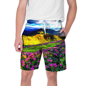 Мужские шорты 3D с принтом Горная тропа в Тюмени,  полиэстер 100% | прямой крой, два кармана без застежек по бокам. Мягкая трикотажная резинка на поясе, внутри которой широкие завязки. Длина чуть выше колен | горы | пейзаж | яркий