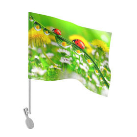 Флаг для автомобиля с принтом Макро в Тюмени, 100% полиэстер | Размер: 30*21 см | божья коровка | насекомые | одуванчик | природа | цветы