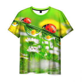 Мужская футболка 3D с принтом Макро в Тюмени, 100% полиэфир | прямой крой, круглый вырез горловины, длина до линии бедер | Тематика изображения на принте: божья коровка | насекомые | одуванчик | природа | цветы