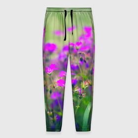 Мужские брюки 3D с принтом Цветы в Тюмени, 100% полиэстер | манжеты по низу, эластичный пояс регулируется шнурком, по бокам два кармана без застежек, внутренняя часть кармана из мелкой сетки | красота | лето | поле | цветок