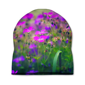 Шапка 3D с принтом Цветы в Тюмени, 100% полиэстер | универсальный размер, печать по всей поверхности изделия | красота | лето | поле | цветок