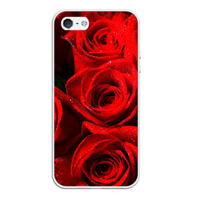 Чехол для iPhone 5/5S матовый с принтом Розы в Тюмени, Силикон | Область печати: задняя сторона чехла, без боковых панелей | красная | роза | роса | цветок