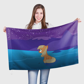 Флаг 3D с принтом Night в Тюмени, 100% полиэстер | плотность ткани — 95 г/м2, размер — 67 х 109 см. Принт наносится с одной стороны | my little pony | луна | пинки пай | пони | рарити | рейнбоу дэш | селестия | сумеречная искорка | флаттершай | эплджек