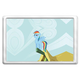 Магнит 45*70 с принтом Rainbow в Тюмени, Пластик | Размер: 78*52 мм; Размер печати: 70*45 | my little pony | луна | пинки пай | пони | рарити | рейнбоу дэш | селестия | сумеречная искорка | флаттершай | эплджек