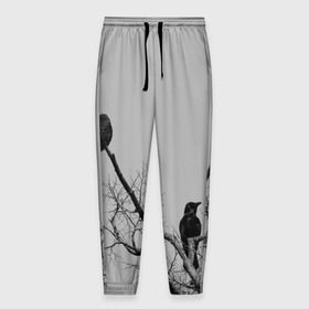 Мужские брюки 3D с принтом Вороны на ветке в Тюмени, 100% полиэстер | манжеты по низу, эластичный пояс регулируется шнурком, по бокам два кармана без застежек, внутренняя часть кармана из мелкой сетки | ветки | вороны | дерево