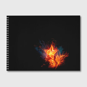Альбом для рисования с принтом Огненный цветок в Тюмени, 100% бумага
 | матовая бумага, плотность 200 мг. | огненный | огонь | пламя | цветок | цветы