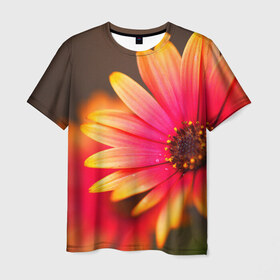 Мужская футболка 3D с принтом Цветы в Тюмени, 100% полиэфир | прямой крой, круглый вырез горловины, длина до линии бедер | Тематика изображения на принте: 3д | красивая | природа | цветок