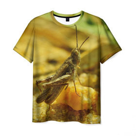 Мужская футболка 3D с принтом Кузнечик в Тюмени, 100% полиэфир | прямой крой, круглый вырез горловины, длина до линии бедер | Тематика изображения на принте: кузнечик | насекомые