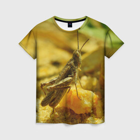 Женская футболка 3D с принтом Кузнечик в Тюмени, 100% полиэфир ( синтетическое хлопкоподобное полотно) | прямой крой, круглый вырез горловины, длина до линии бедер | кузнечик | насекомые