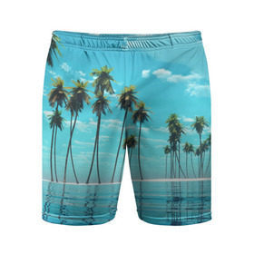 Мужские шорты 3D спортивные с принтом Фиджи в Тюмени,  |  | Тематика изображения на принте: архипелаг | загар | каникулы | королевство | море | остров | отдых | отпуск | пальмы | песок | рай | солнце | тихий океан | туризм | фиджи