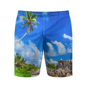 Мужские шорты 3D спортивные с принтом Сейшельские острова в Тюмени,  |  | Тематика изображения на принте: seychelles | восточная африка | индийский океан | каникулы | море | островное государство | отдых | отпуск | пальмы | песок | пляж | приключение | путешествие | рай | сейшелы | сейшельские острова | туризм
