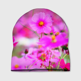 Шапка 3D с принтом Цветы в Тюмени, 100% полиэстер | универсальный размер, печать по всей поверхности изделия | лепесток | природа | цветок | яркая