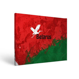 Холст прямоугольный с принтом Belarus 2 в Тюмени, 100% ПВХ |  | belarus | беларусь