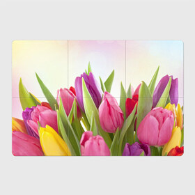 Магнитный плакат 3Х2 с принтом Тюльпаны в Тюмени, Полимерный материал с магнитным слоем | 6 деталей размером 9*9 см | 8 марта | аромат | букет | вазон | великолепие | дача | девушки | женщины | краски | красота | куст | лужайка | милые цветы | огород | палитра | прелесть | радуга | растение | тюльпаны