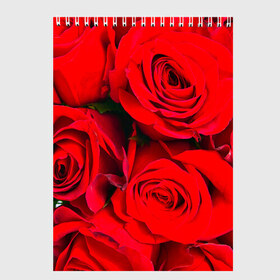 Скетчбук с принтом Розы в Тюмени, 100% бумага
 | 48 листов, плотность листов — 100 г/м2, плотность картонной обложки — 250 г/м2. Листы скреплены сверху удобной пружинной спиралью | букет | красная | лепестки | роза | цветы
