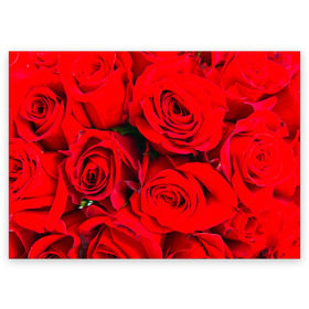 Поздравительная открытка с принтом Розы в Тюмени, 100% бумага | плотность бумаги 280 г/м2, матовая, на обратной стороне линовка и место для марки
 | букет | красная | лепестки | роза | цветы