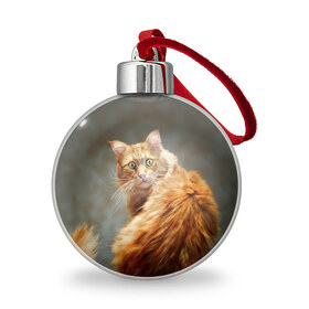 Ёлочный шар с принтом Рыжий в Тюмени, Пластик | Диаметр: 77 мм | cat | кот | кошка | рыжий