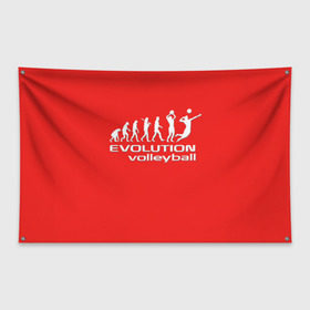 Флаг-баннер с принтом Волейбол 23 в Тюмени, 100% полиэстер | размер 67 х 109 см, плотность ткани — 95 г/м2; по краям флага есть четыре люверса для крепления | evolution | volleyball | волейбол