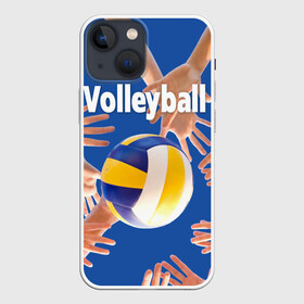 Чехол для iPhone 13 mini с принтом Волейбол 24 в Тюмени,  |  | Тематика изображения на принте: volleyball | волейбол